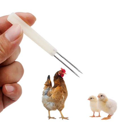 Aguja para vacuna de pollos aves