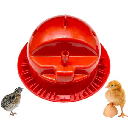 Bebedero automático para codorniz y pollos bebé